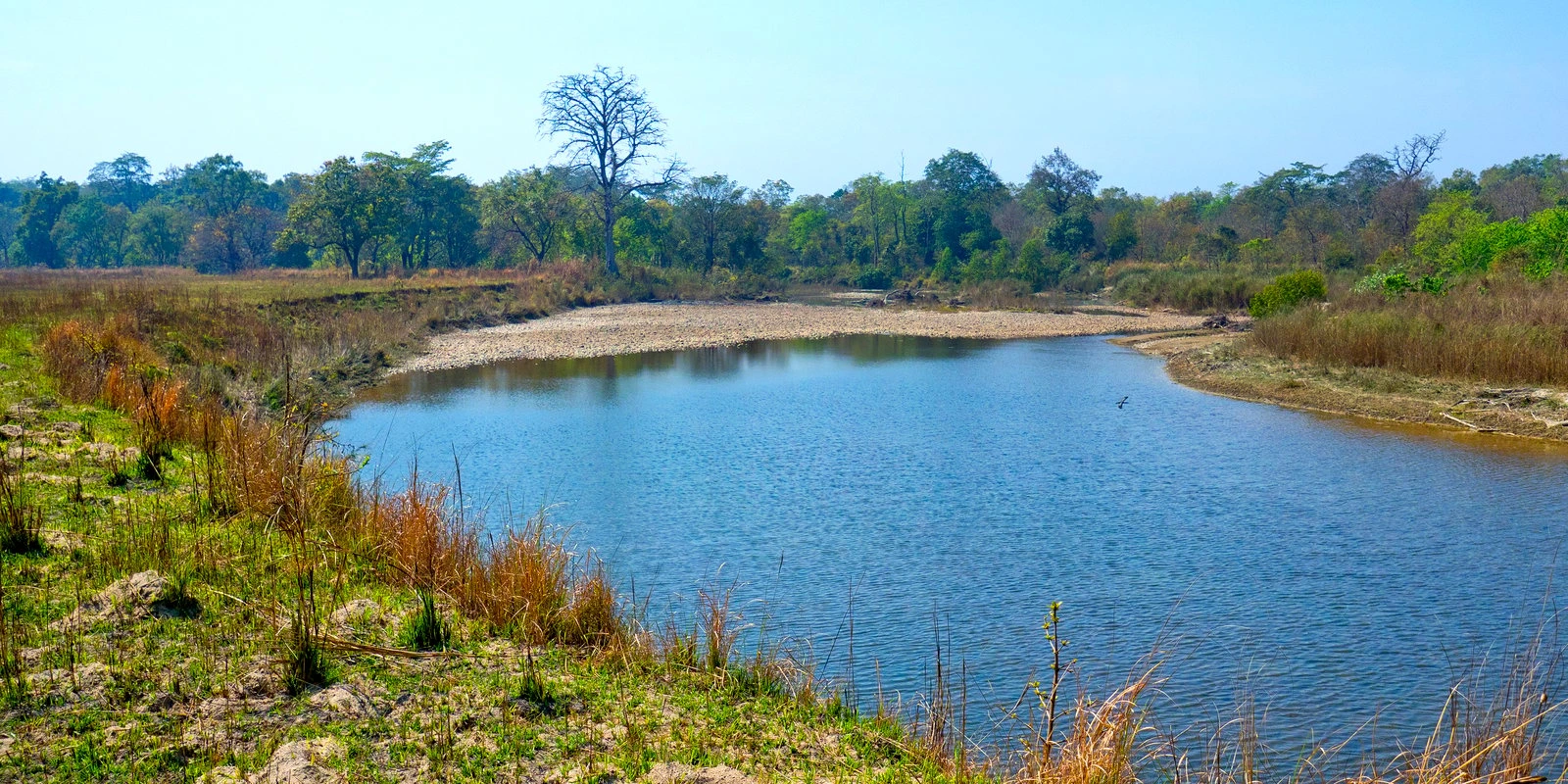 How to reach Bardia National Park in Nepal